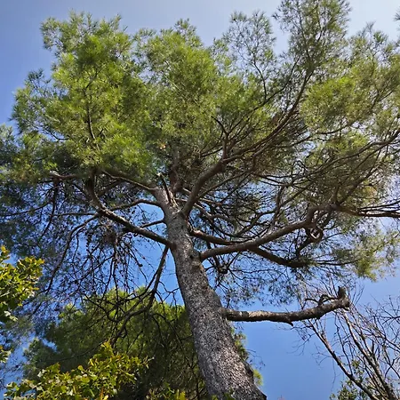 San Rocco Vakantiehuis *