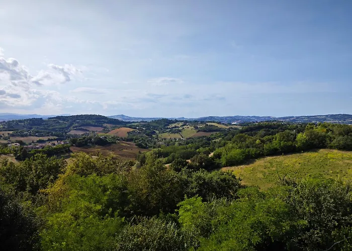 San Rocco بيزارو