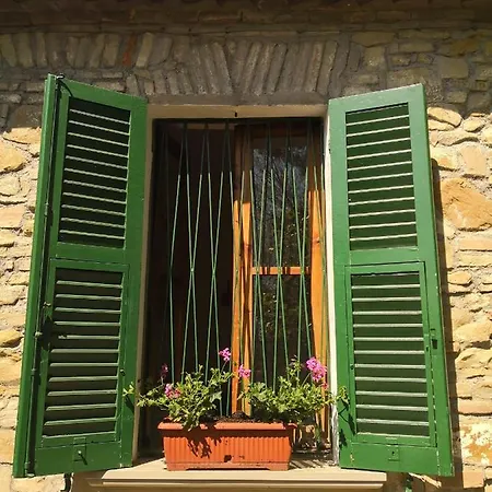 San Rocco * Pésaro