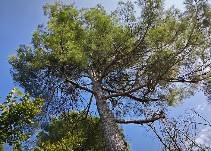 San Rocco Casa de Férias *